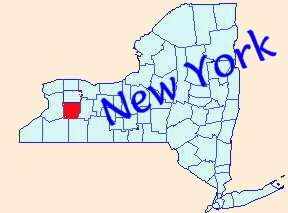 New York State map with Wyoming Co. highlighted in red